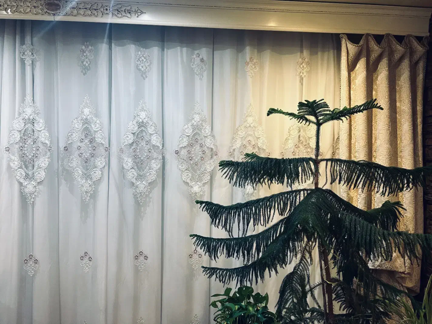 پرده|پرده، رانر، رومیزی|کرج, گوهردشت|دیوار