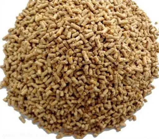 دان مرغ|حیوانات مزرعه|رشت, شهرک احمد خمینی|دیوار