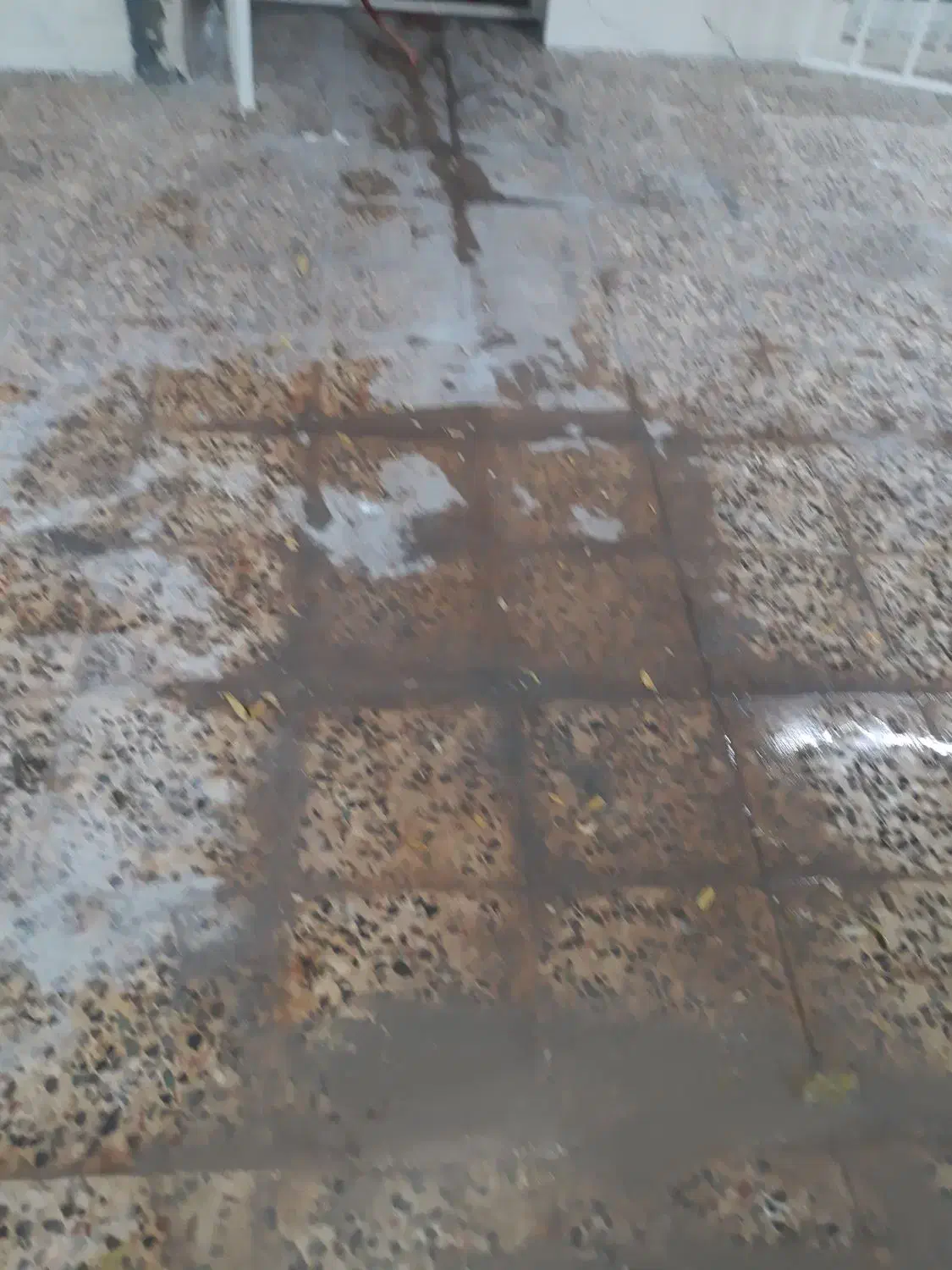 کفسابی وسنگ سابی مسلم|خدمات نظافت|شاهینشهر, شهرک گلدیس|دیوار