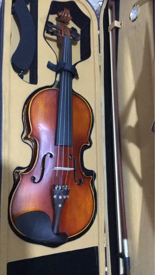 ویولن مولر۴/۴|ویولن|قشم, |دیوار