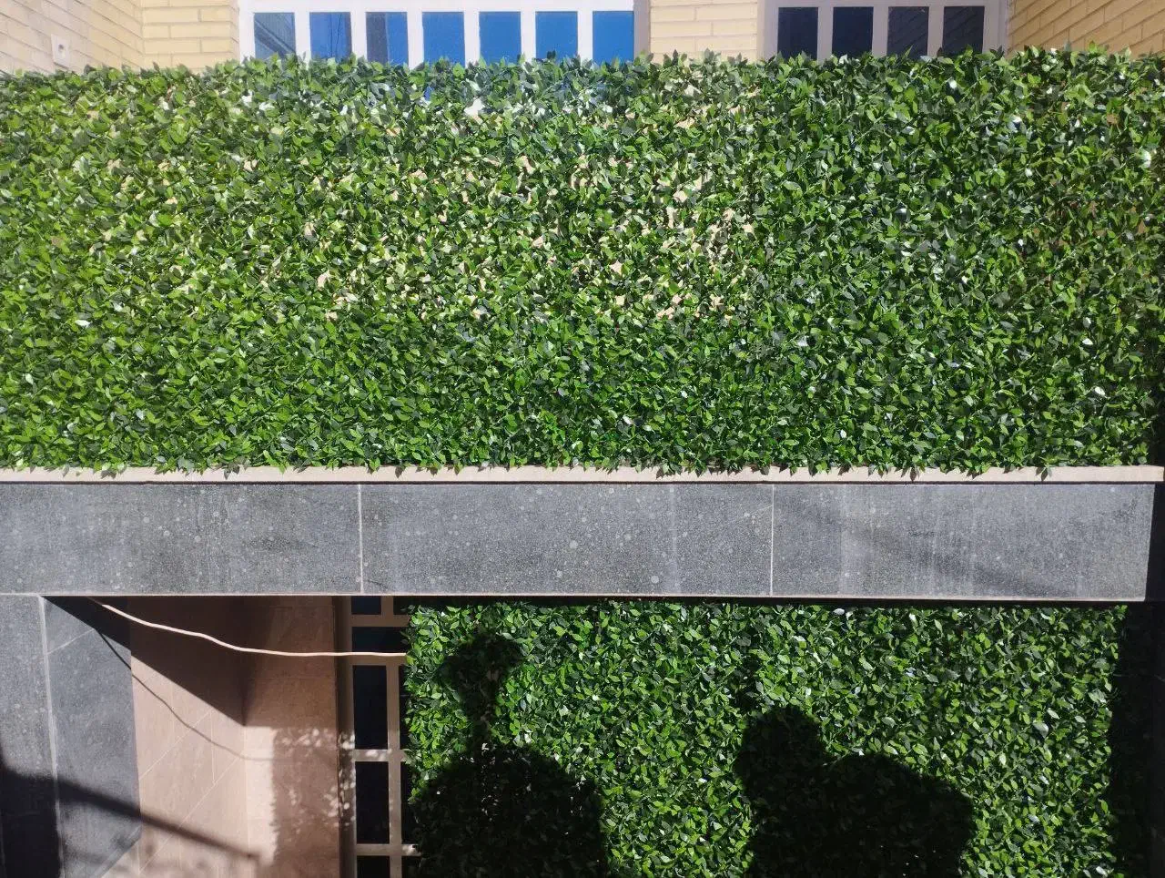 طرح برگ پرتقالی فنس پر تراکم|گل و گیاه طبیعی|یزد, |دیوار