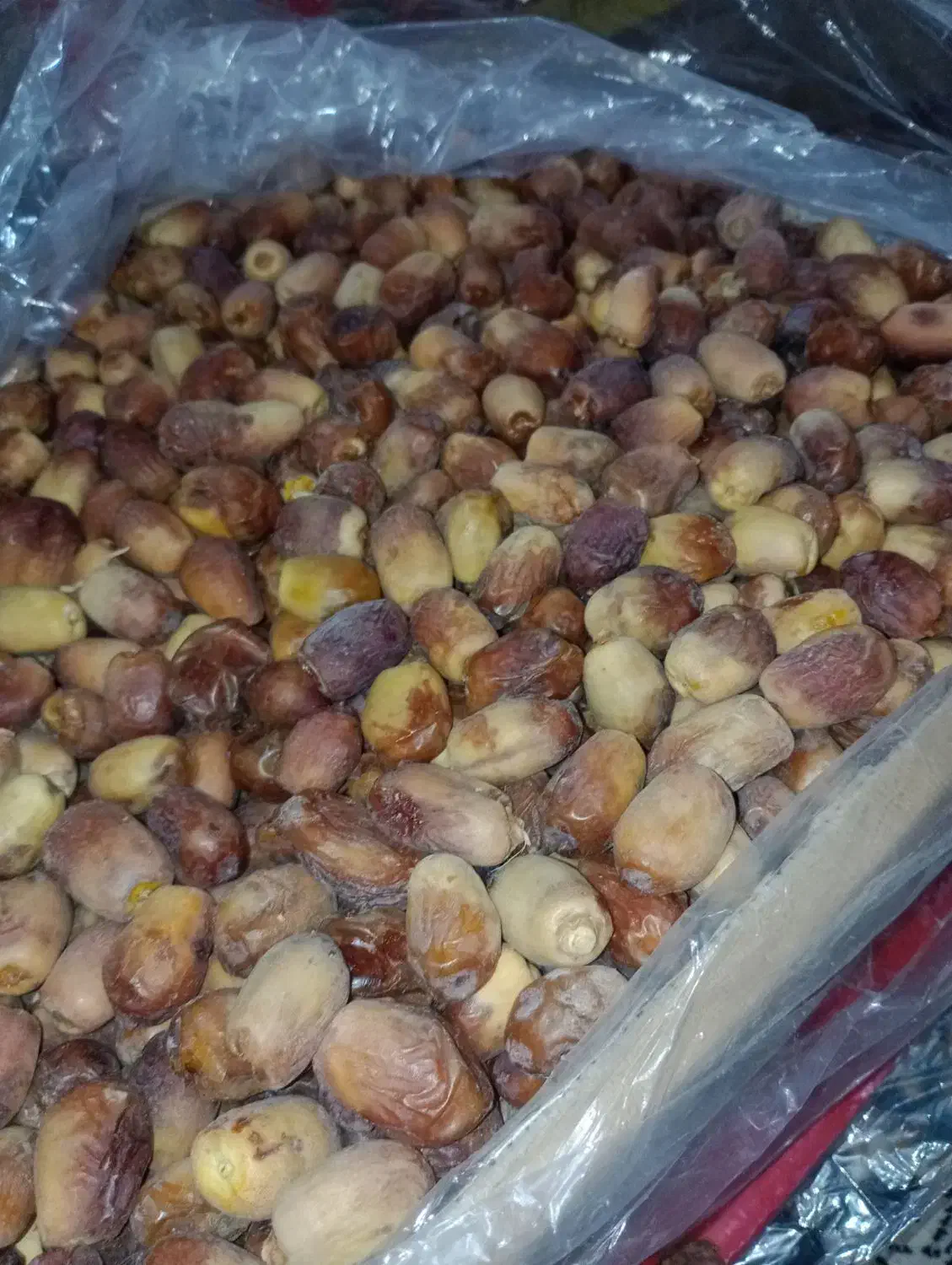 خرما|عمدهفروشی|زاهدان, |دیوار