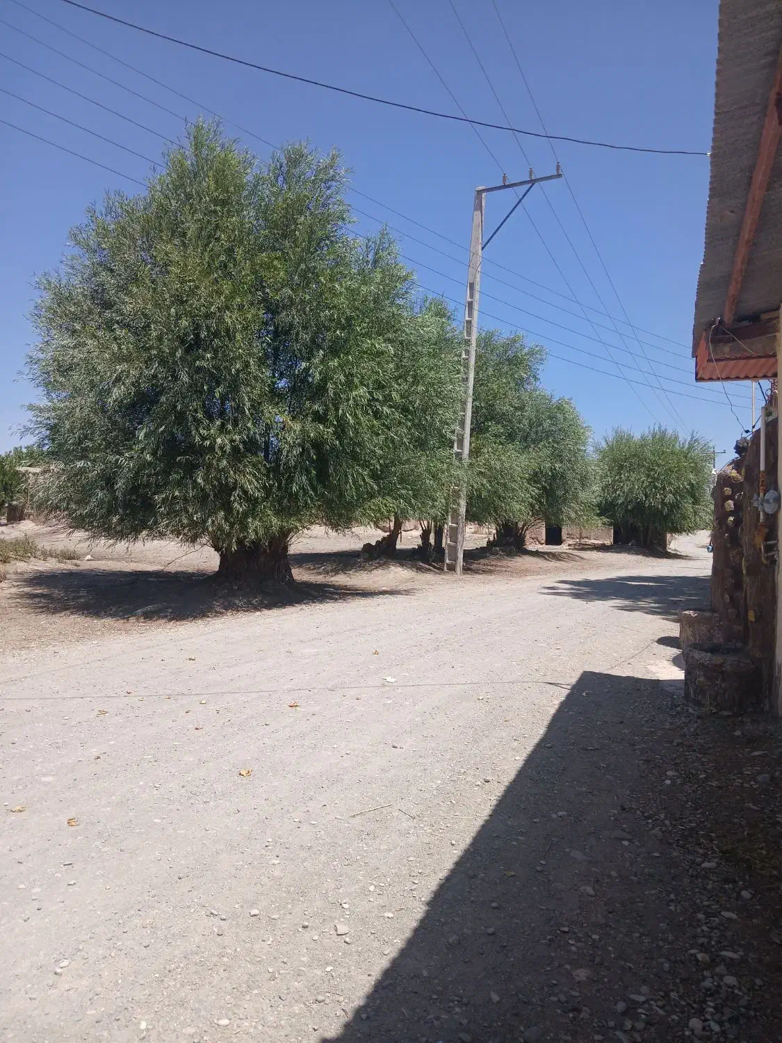 ۱۵۰ قصب زمین کشاورزی/۲۰ متر بر جاده اصلی حسن آباد|فروش زمین و ملک کلنگی|بافت, |دیوار