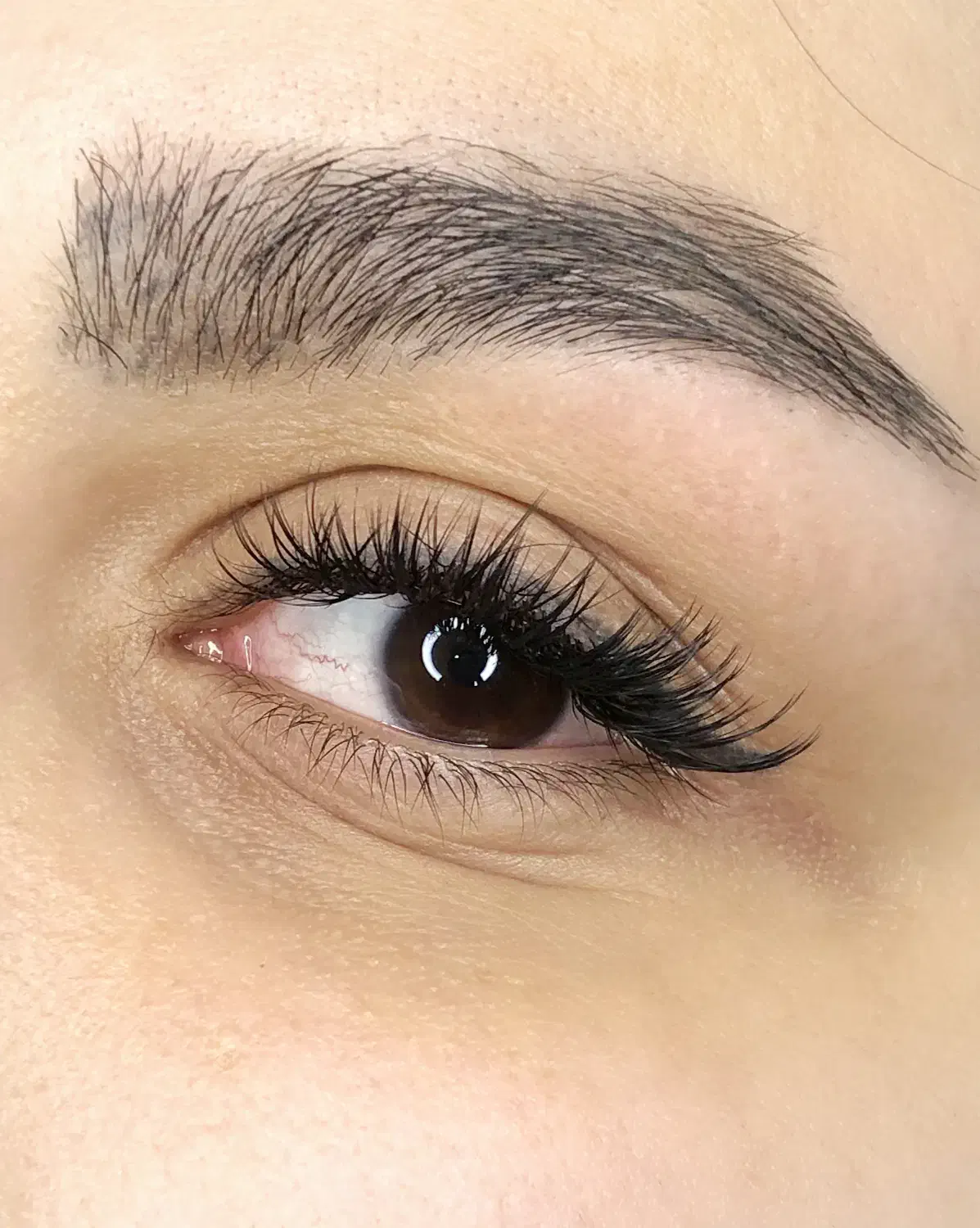 مدل برای اکستنشن مژه|خدمات آرایشگری و زیبایی|قم, کلهری|دیوار