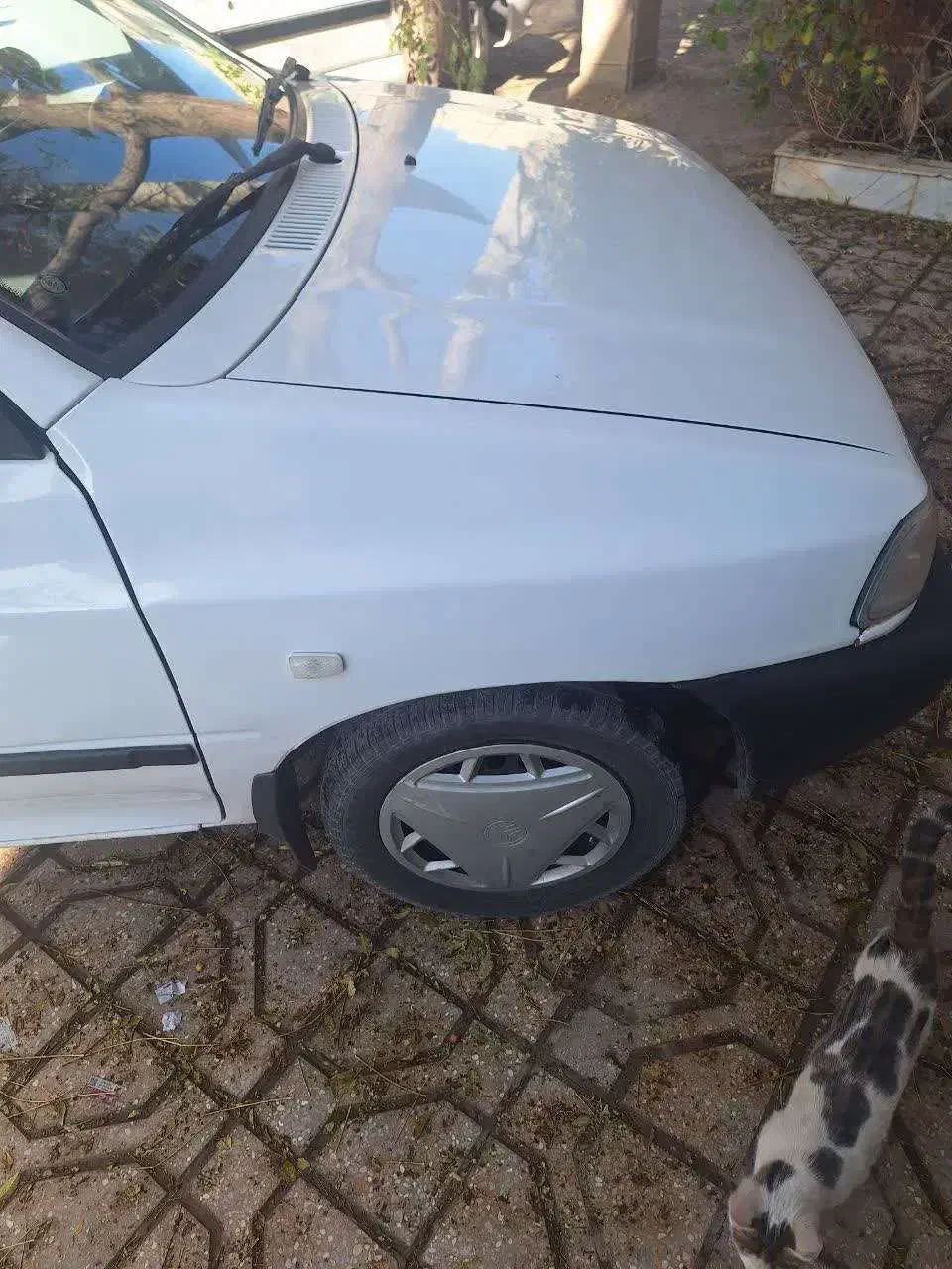 پراید ۱۳۱|خودرو سواری و وانت|گناباد, |دیوار