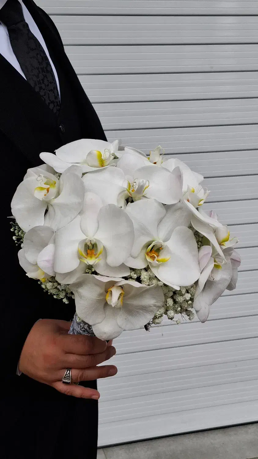 گلفروشی آنلاین|گل و گیاه طبیعی|رشت, پستک|دیوار