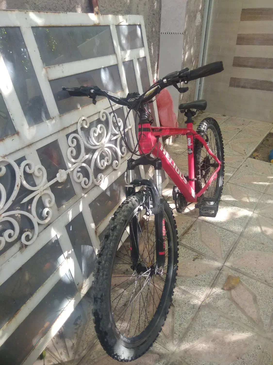 دوچرخه‌سواری 26|دوچرخه، اسکیت، اسکوتر|داراب, |دیوار