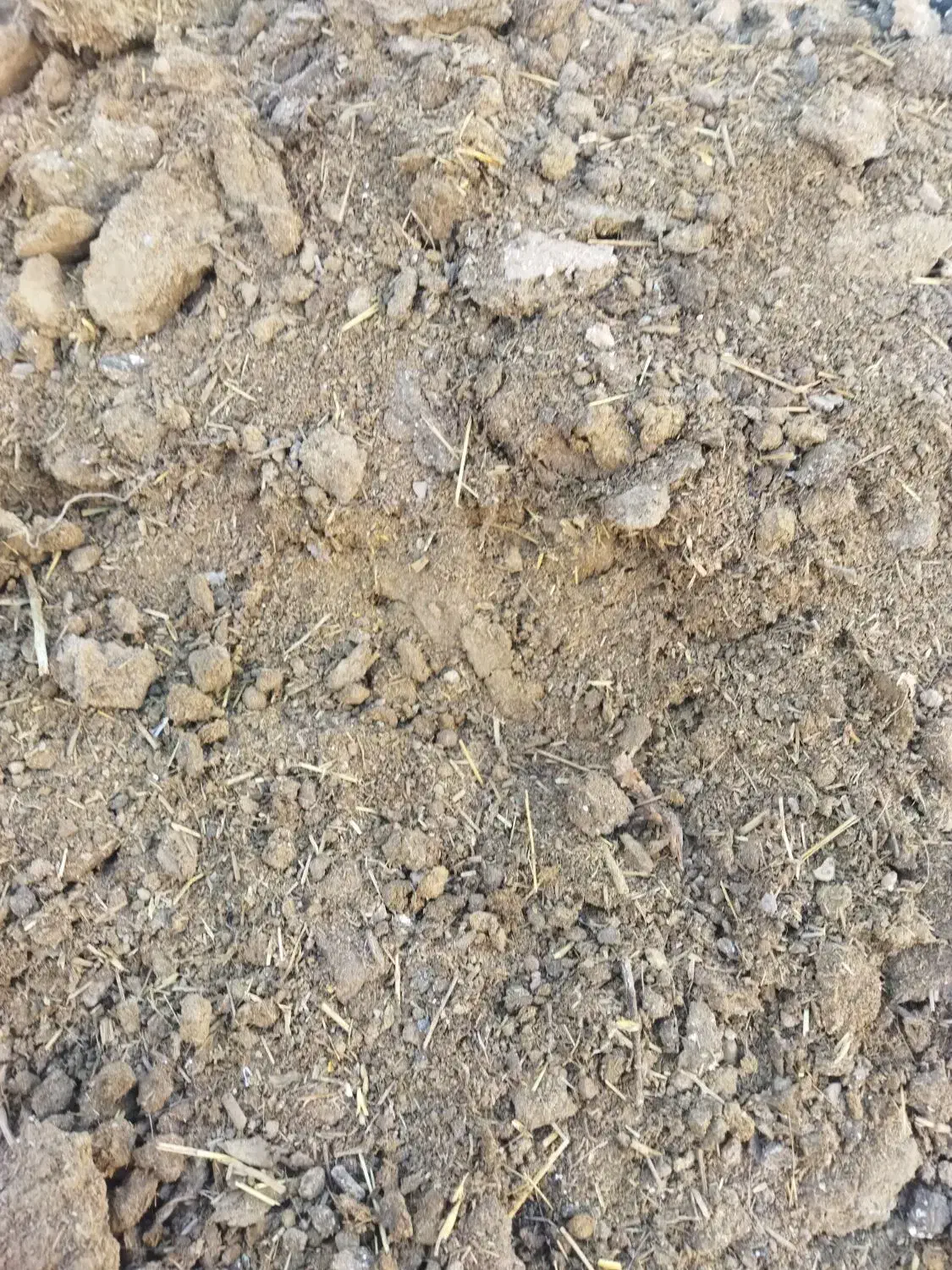 کود گوسفندی|لوازم جانبی حیوانات|یزد, |دیوار