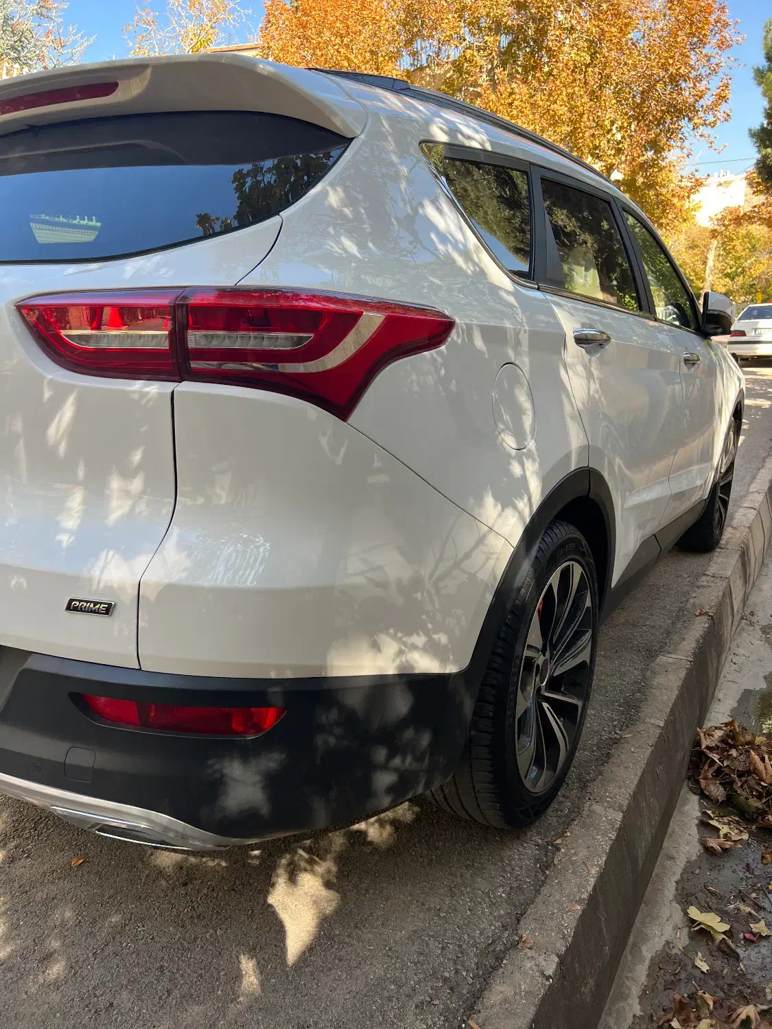 فیدیلیتی ۴۰۱ در حد صفر|خودرو سواری و وانت|شیراز, قصرالدشت|دیوار