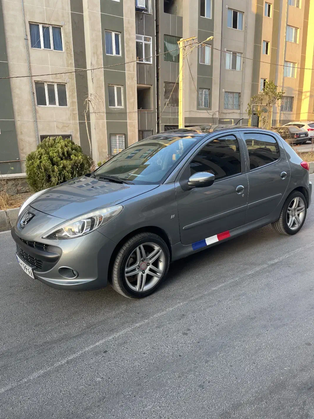 ۲۰۷ پانا مدل ۱۴۰۱|خودرو سواری و وانت|هشتگرد, شهرک اداری|دیوار