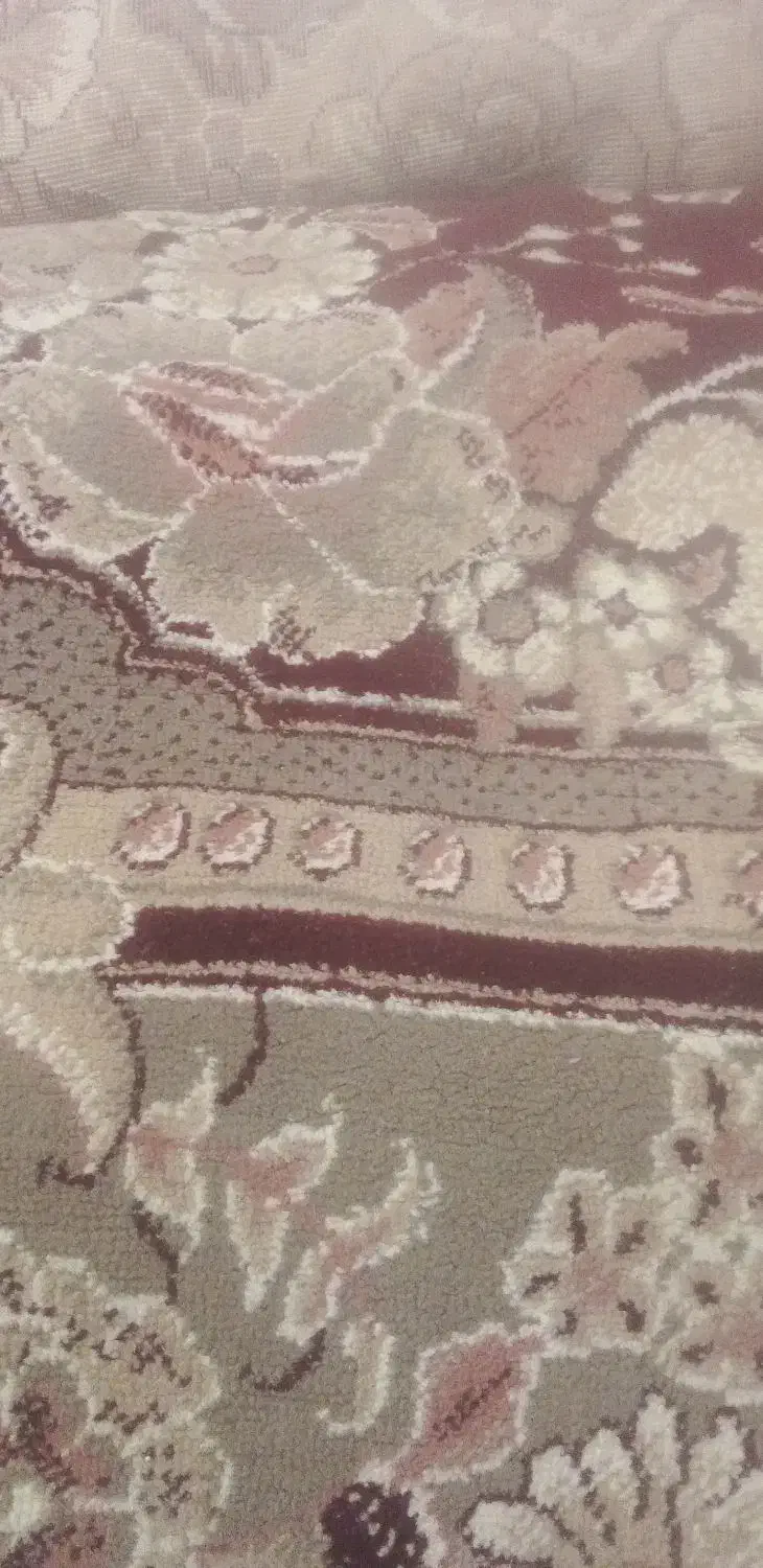 فرش|فرش|تایباد, |دیوار