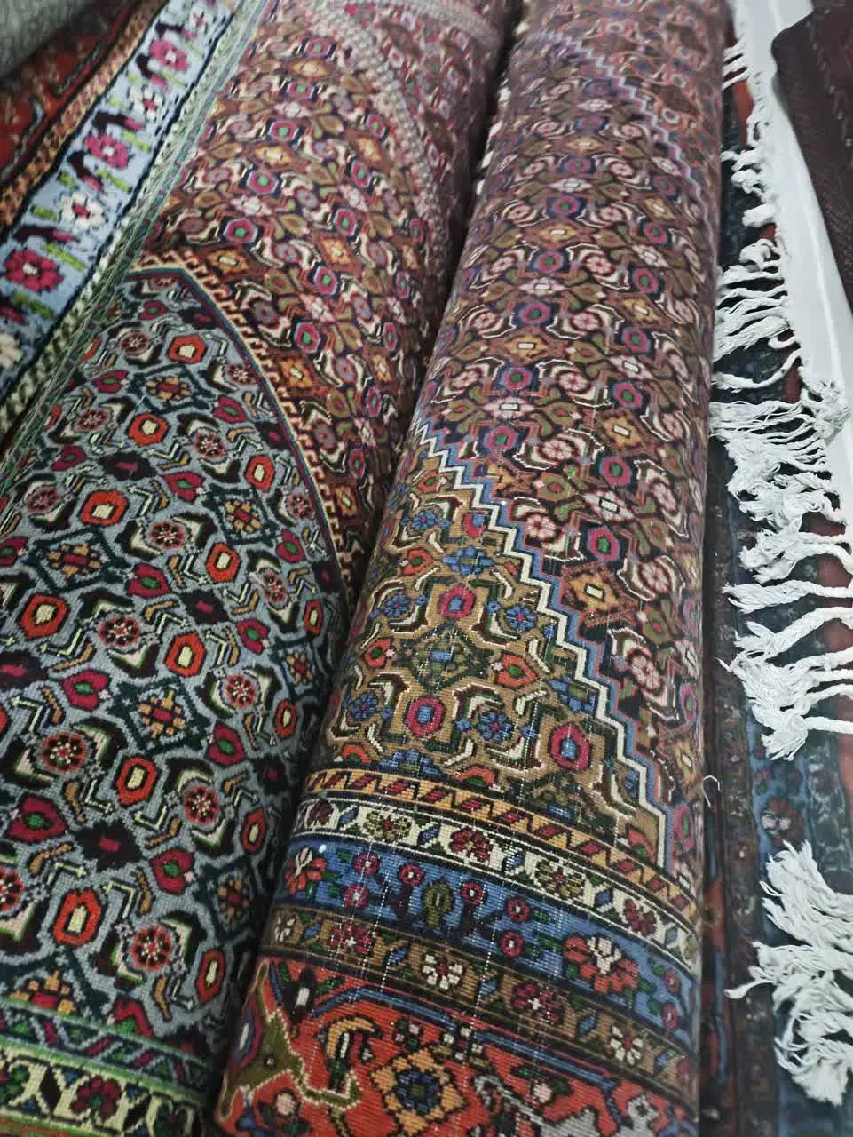 فرش دستبافت قدیمی|فرش|زنجان, |دیوار