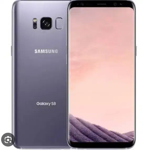 سامسونگ s8+|موبایل|شیراز, میانرود|دیوار