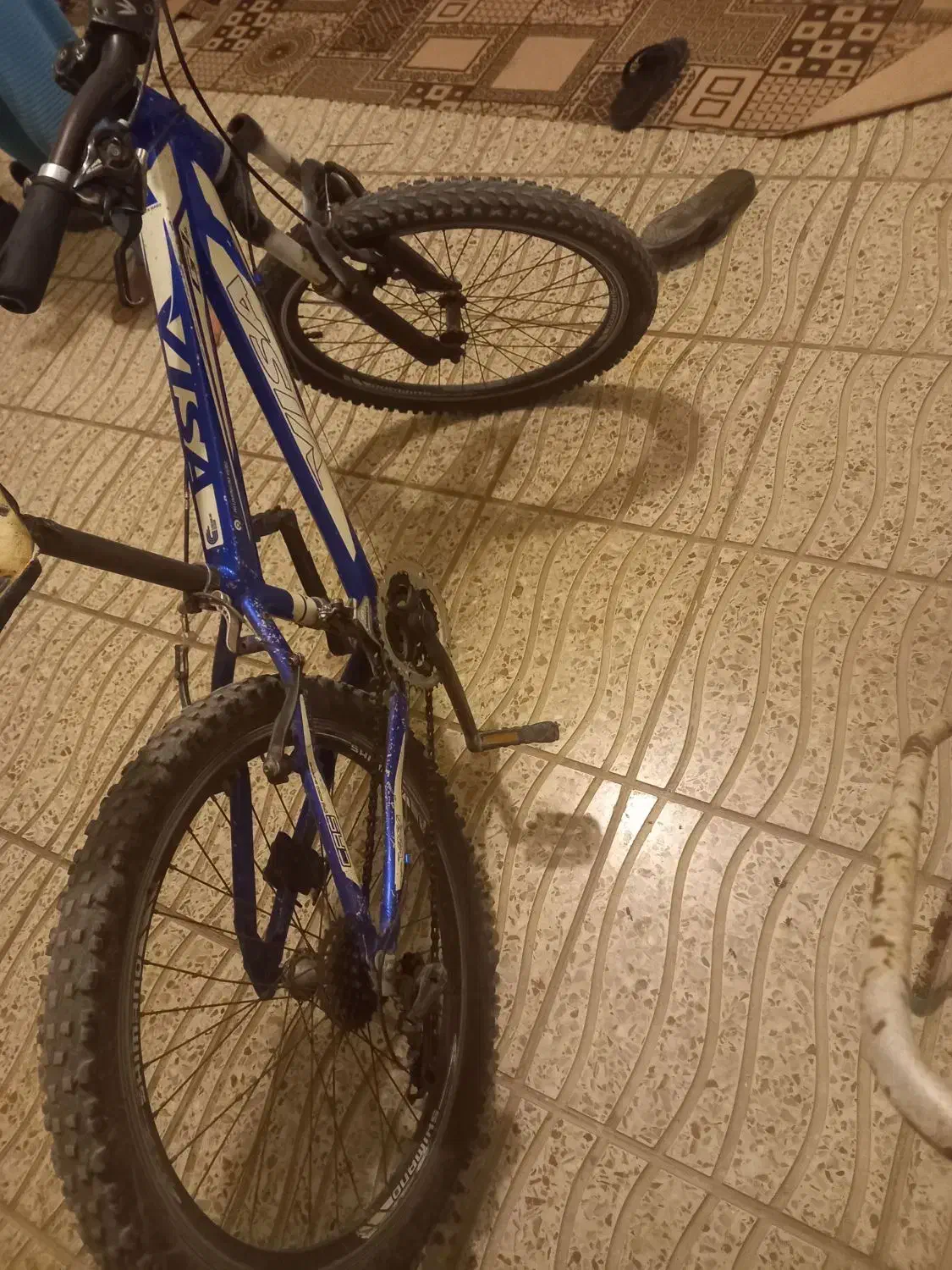 دوچرخه ۲۴|دوچرخه، اسکیت، اسکوتر|بیله سوار, |دیوار