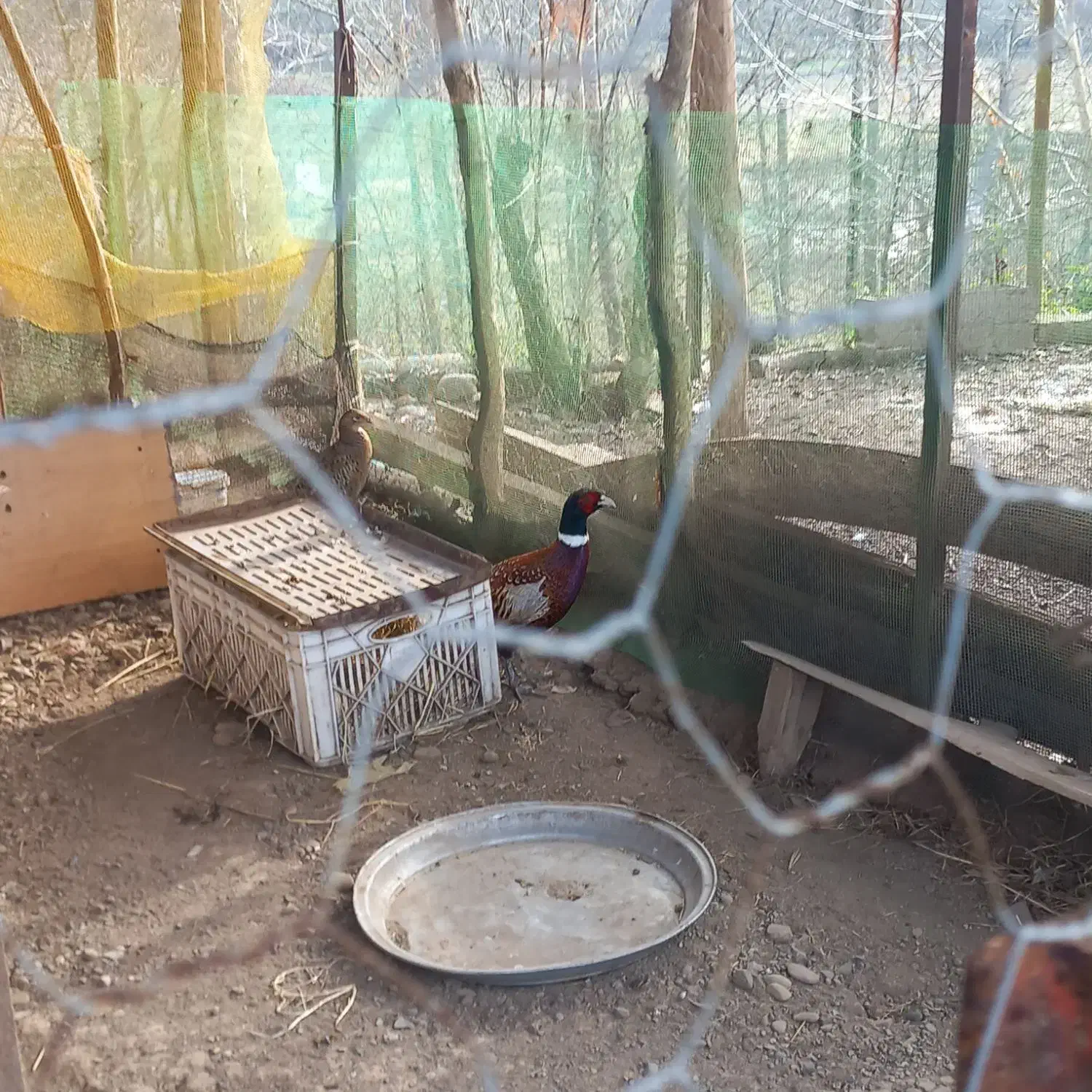 لوازم|کنسول، بازی ویدئویی و آنلاین|سیاهکل, |دیوار