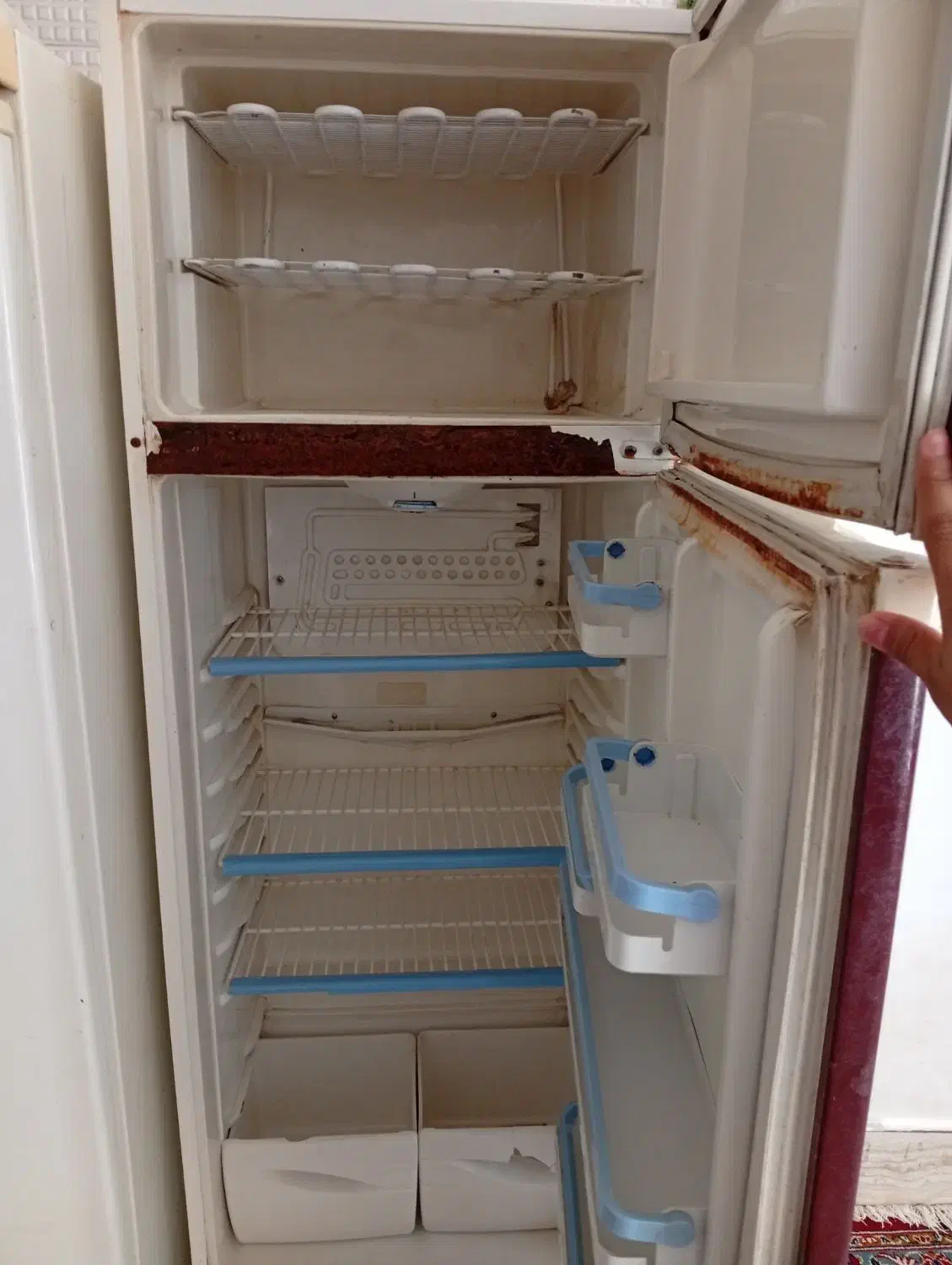 یخچال|یخچال و فریزر|تربت جام, جامرود|دیوار