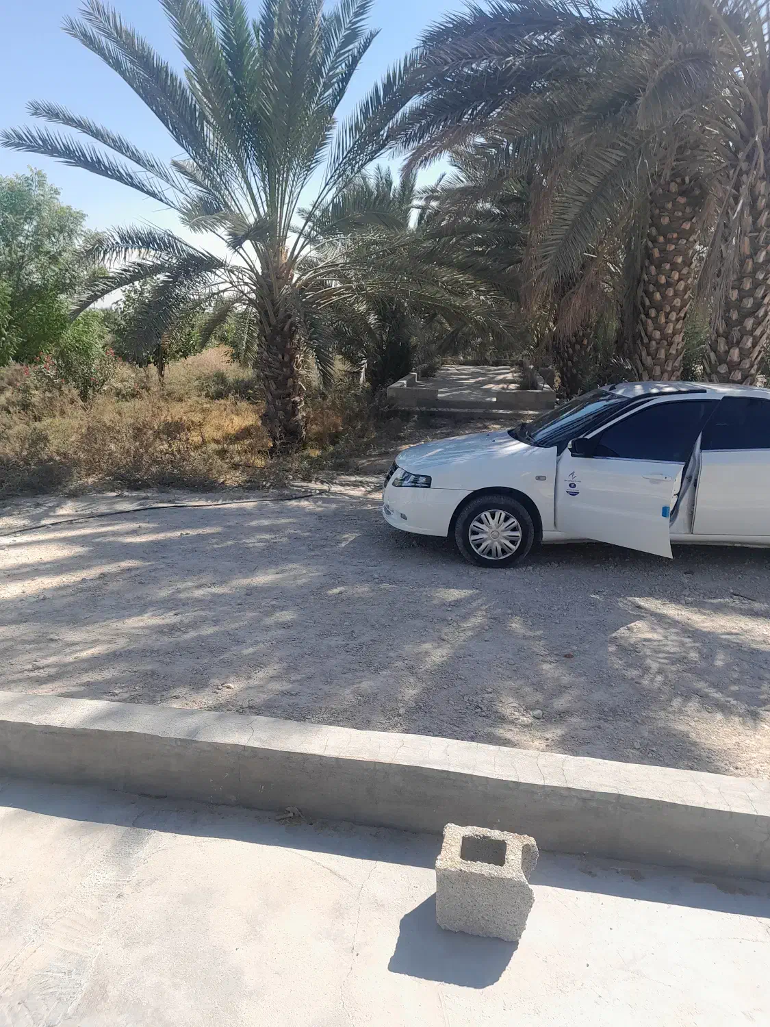 فروش چاه وزمین کشاورزی|فروش دفتر صنعتی، کشاورزی، تجاری|مهر, |دیوار