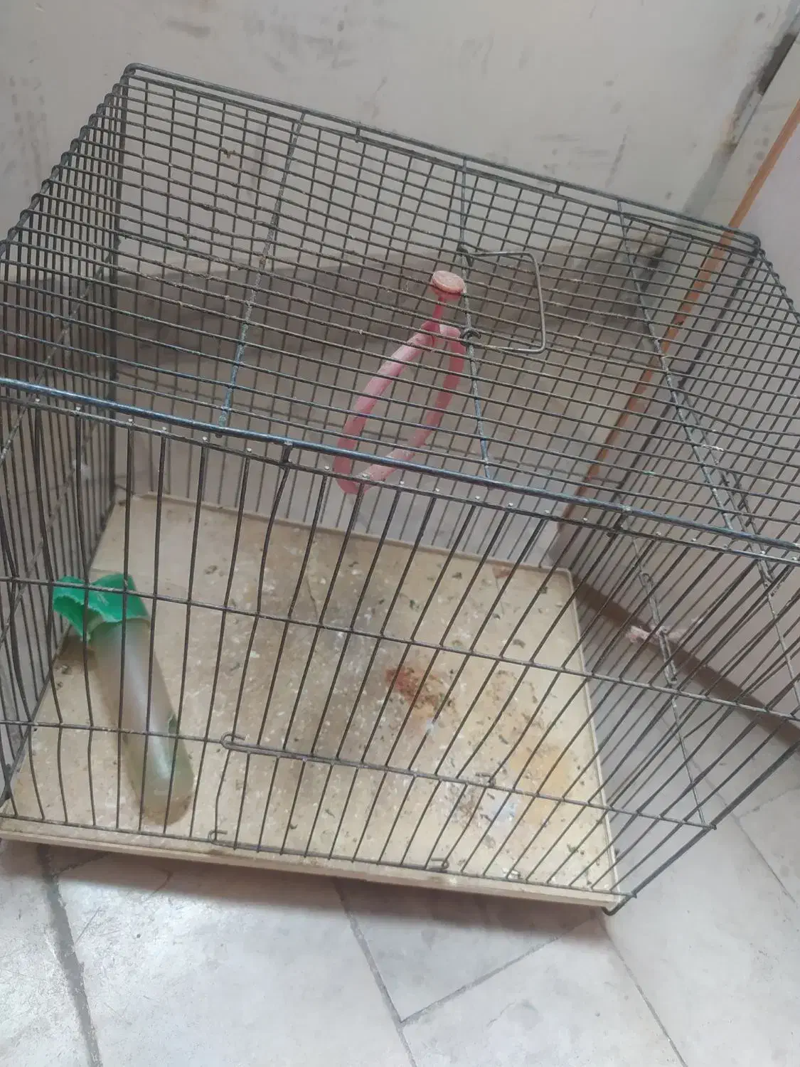 دوعدد قفس پرنده سالم|لوازم جانبی حیوانات|سهند, |دیوار