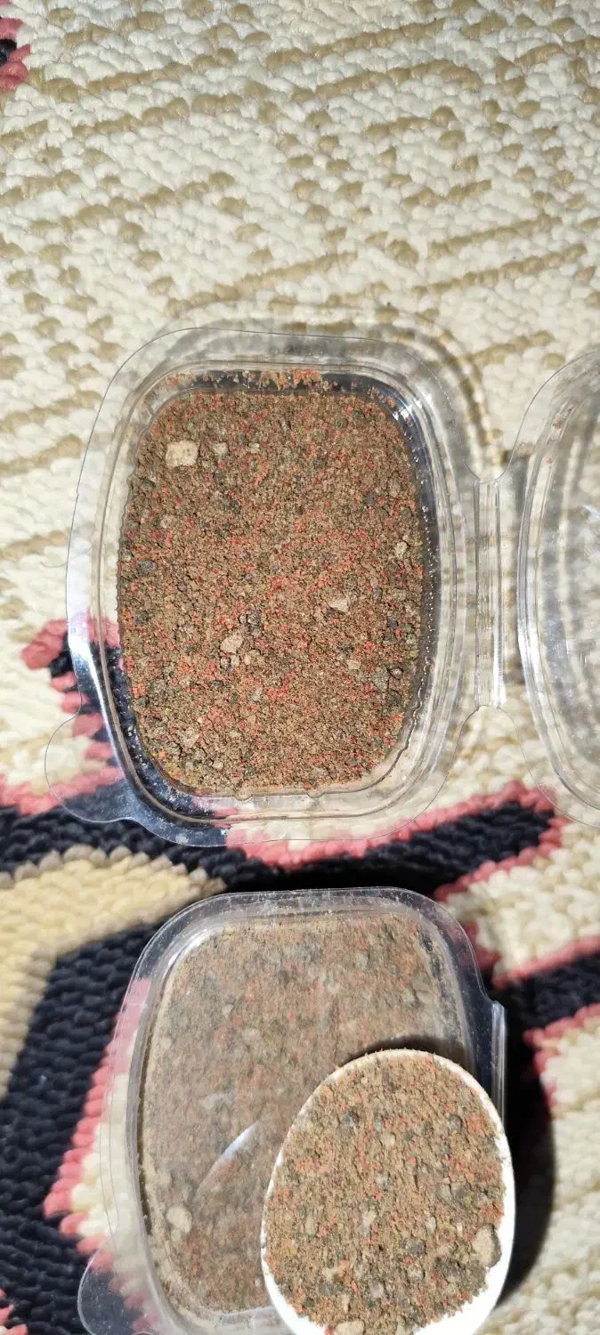 ماهی گوپی کوی توکسیدو زیبا و غذای ماهی زینتی|ماهی|تبریز, |دیوار