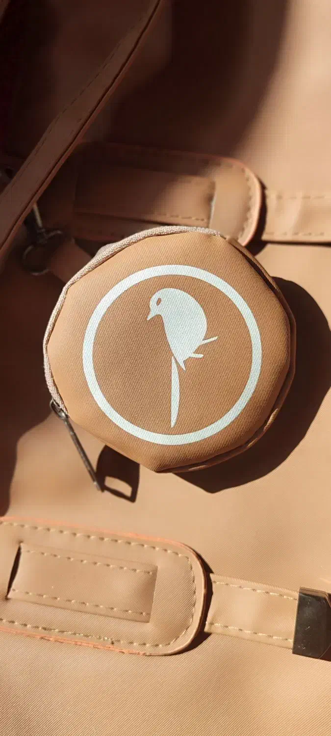 کیف DONEEL|کیف، کفش، کمربند|بندر انزلی, معلم|دیوار