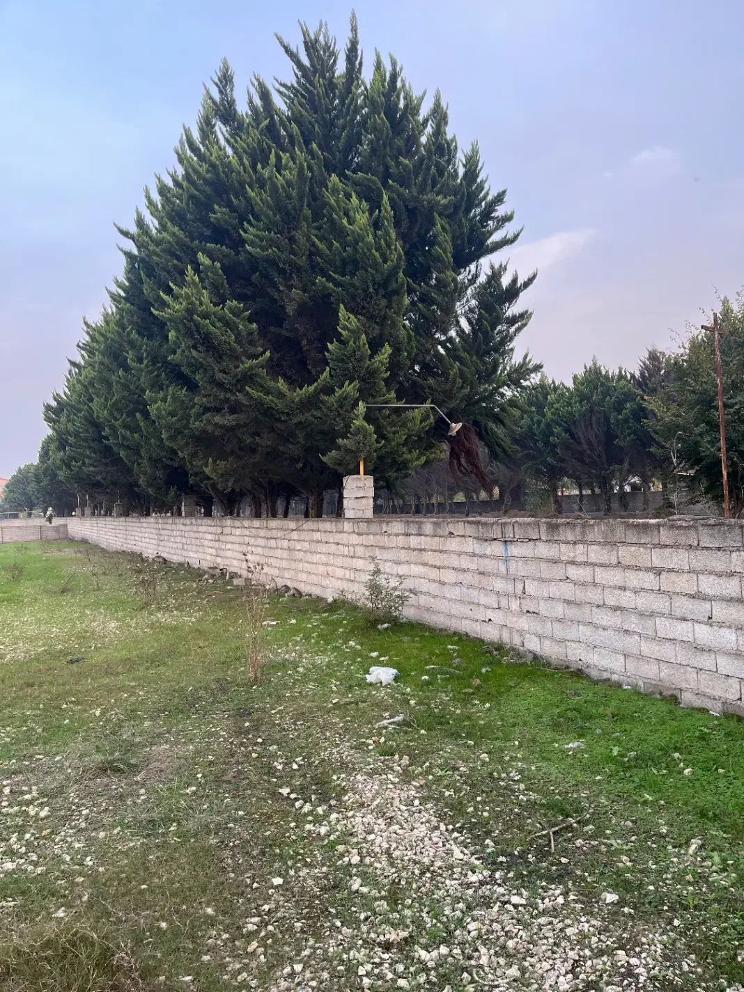 زمین مسکونی سنددار|فروش زمین و ملک کلنگی|کیاکلا, |دیوار