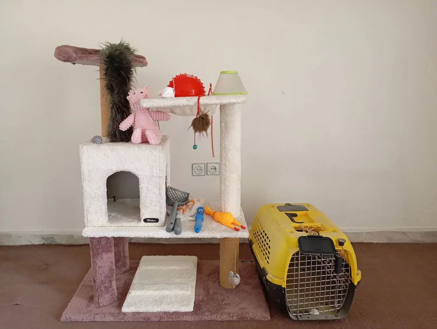 لوازم نگهداری حیوانات خانگی ( گربه )|لوازم جانبی حیوانات|تهران, قیطریه|دیوار