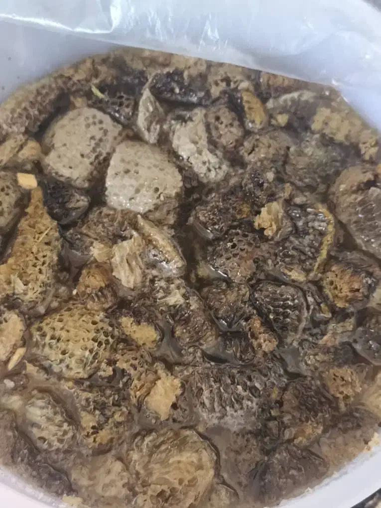 عسل وحشی|خوردنی و آشامیدنی|داراب, |دیوار