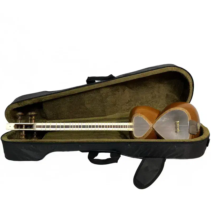 تار مدل عطا نو|سازهای سنتی|سمنان, |دیوار