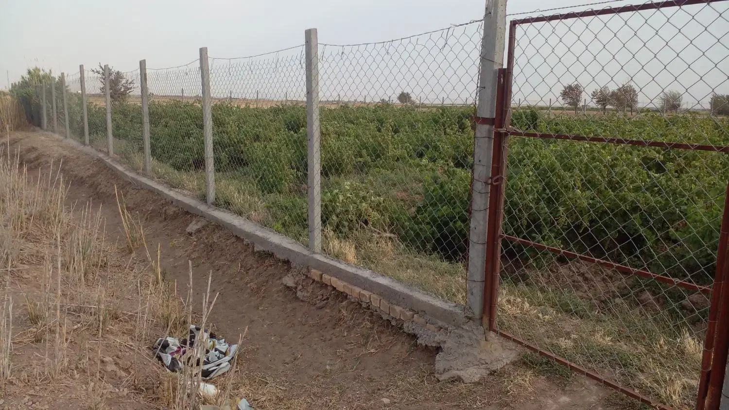 ّباغ انگور|فروش دفتر صنعتی، کشاورزی، تجاری|دشتابی, |دیوار