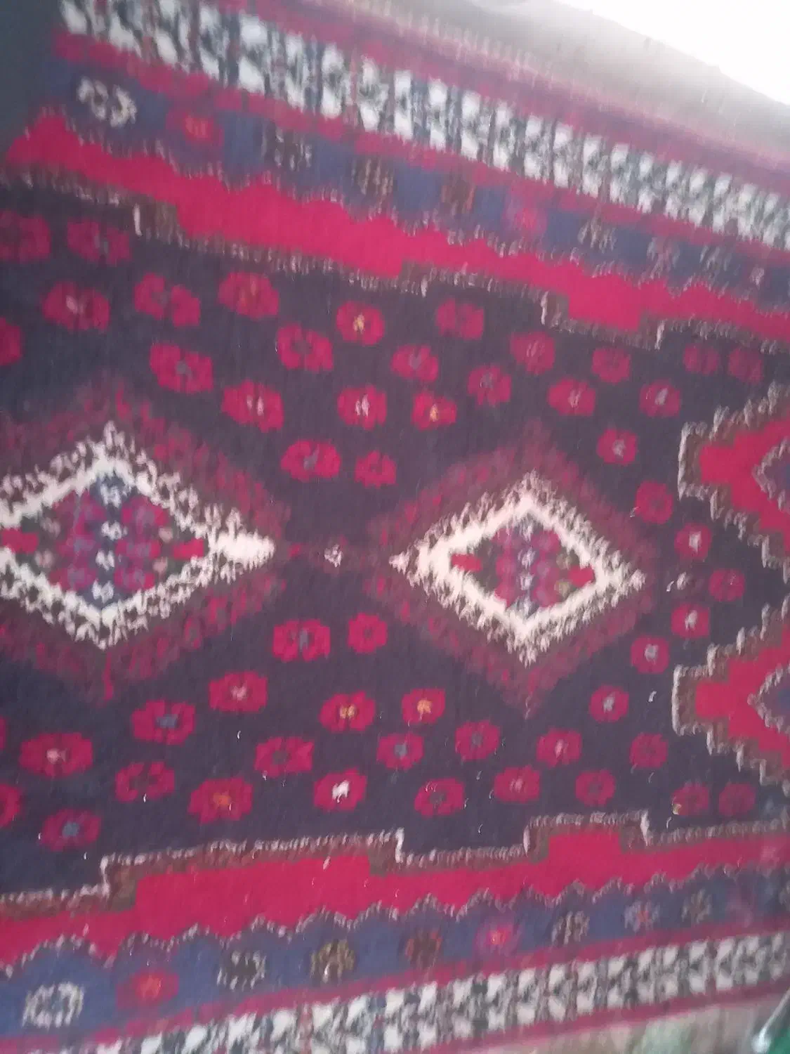 قالی محلی دست باف کناره|فرش|سیرجان, |دیوار