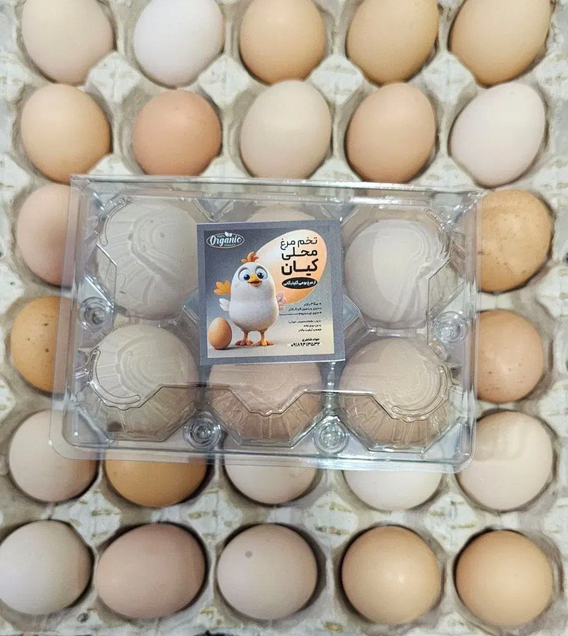 تخم مرغ ارگانیک محلی گلپایگانی ( رسمی )|خوردنی و آشامیدنی|دره شهر, |دیوار