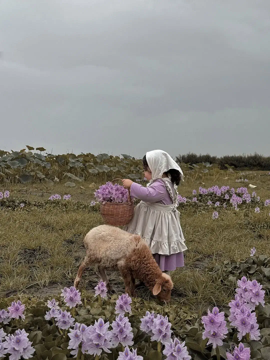 راهنمایی|فعالیت داوطلبانه|یاسوج, |دیوار