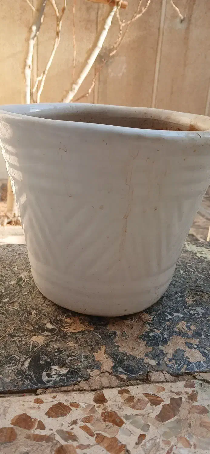 گلدان سرامیک|گل و گیاه طبیعی|قم, نیروگاه|دیوار