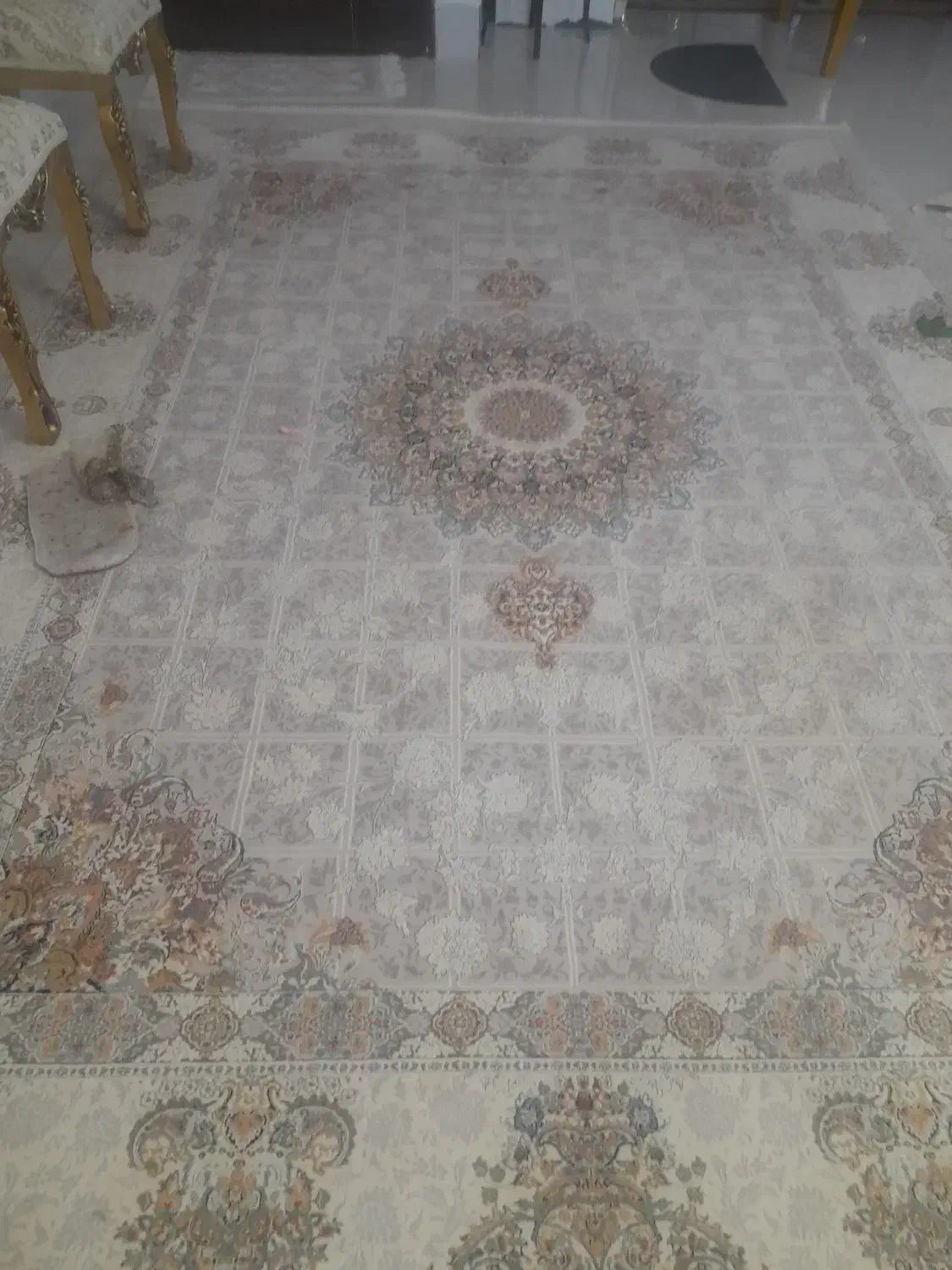 قالی ۹ متری|فرش|تربت‌حیدریه, بالا ولایت|دیوار