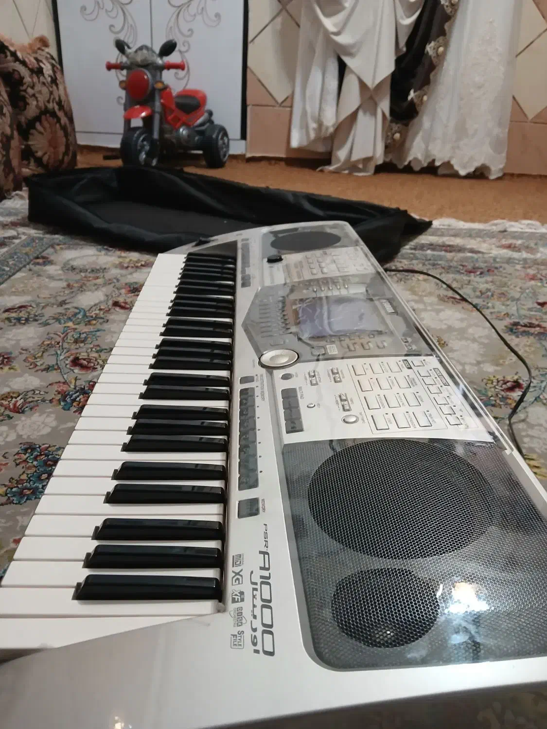 ارگ|پیانو، کیبورد، آکاردئون|میناب, |دیوار