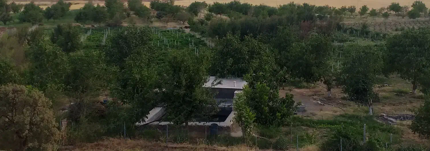 باغ فروشی|فروش دفتر صنعتی، کشاورزی، تجاری|خاو و میرآباد, |دیوار