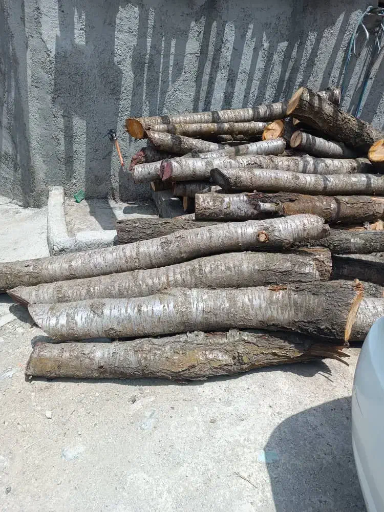 خریدار هرگونه چوب هرسی و....|خدمات باغبانی و درختکاری|شهریار, دهشاد بالا|دیوار