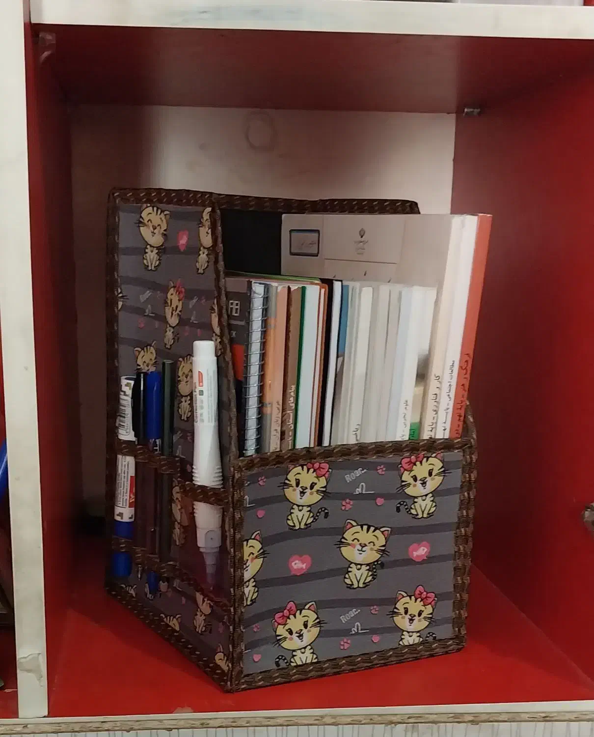 نظم دهنده کتاب|کتابخانه، شلف، قفسه‌های دیواری|گناباد, |دیوار