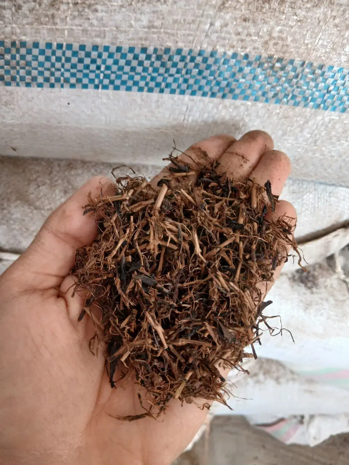 خاک چای|گل و گیاه طبیعی|خمینیشهر, |دیوار