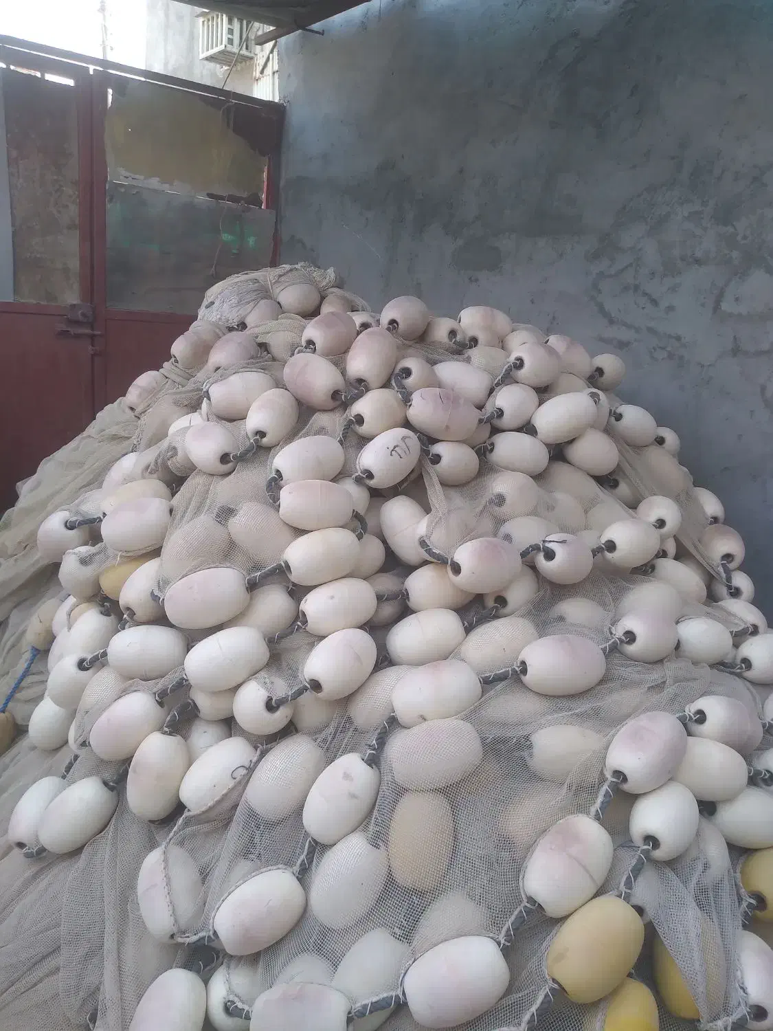 جل کاشغی نو|ماهیگیری|قشم, |دیوار