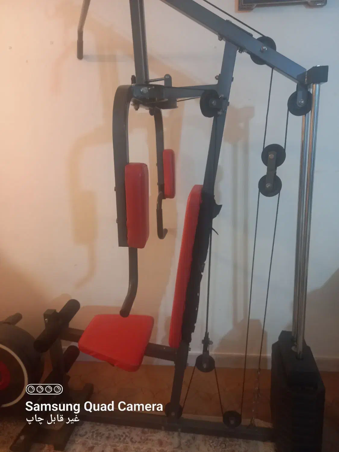 ۲ دستگاه ورزشی|تجهیزات ورزشی|بندرعباس, |دیوار