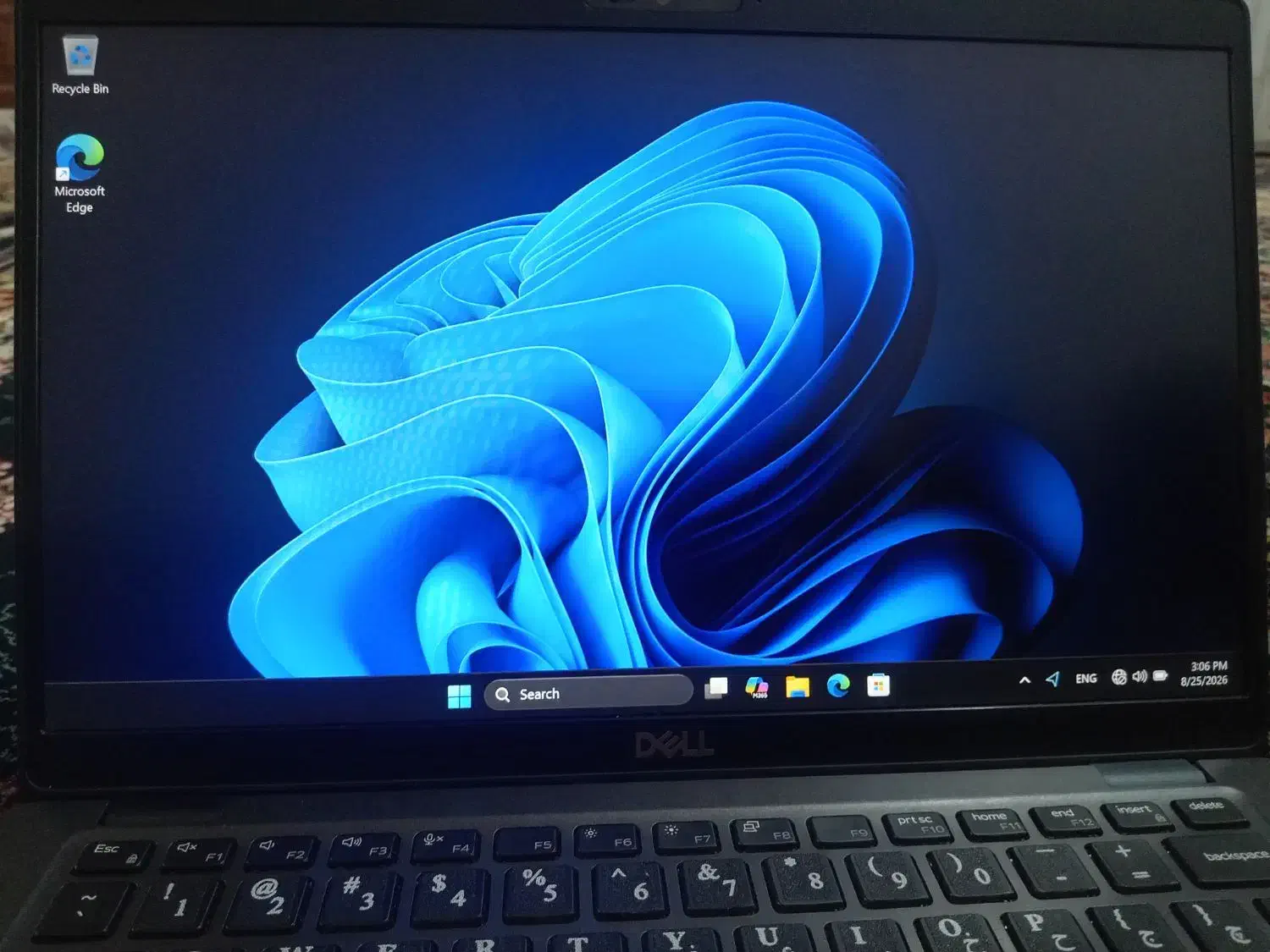 لپ تاپ دل|رایانه همراه|همدان, |دیوار