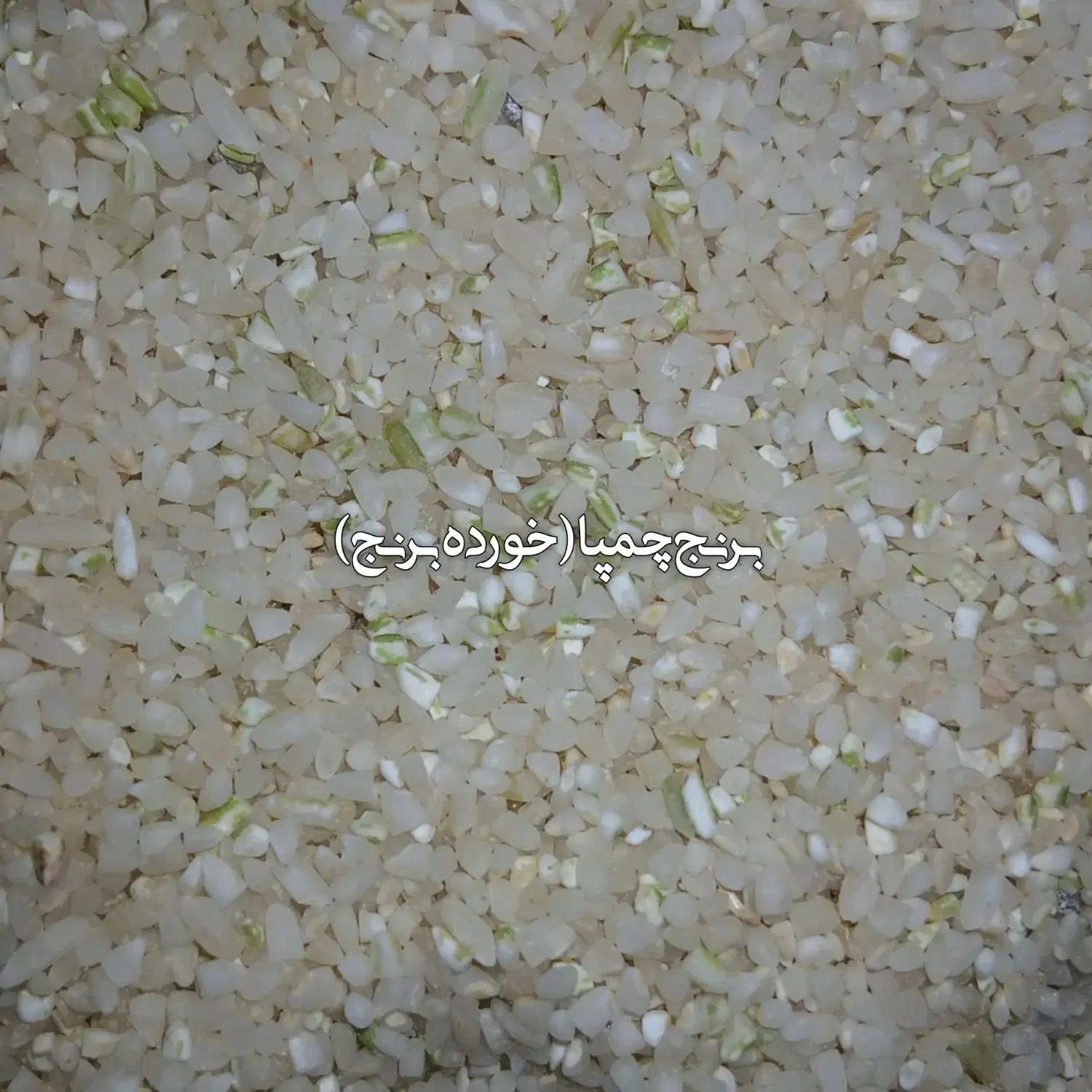 برنج چمپا شهریار|خوردنی و آشامیدنی|فلارد, |دیوار