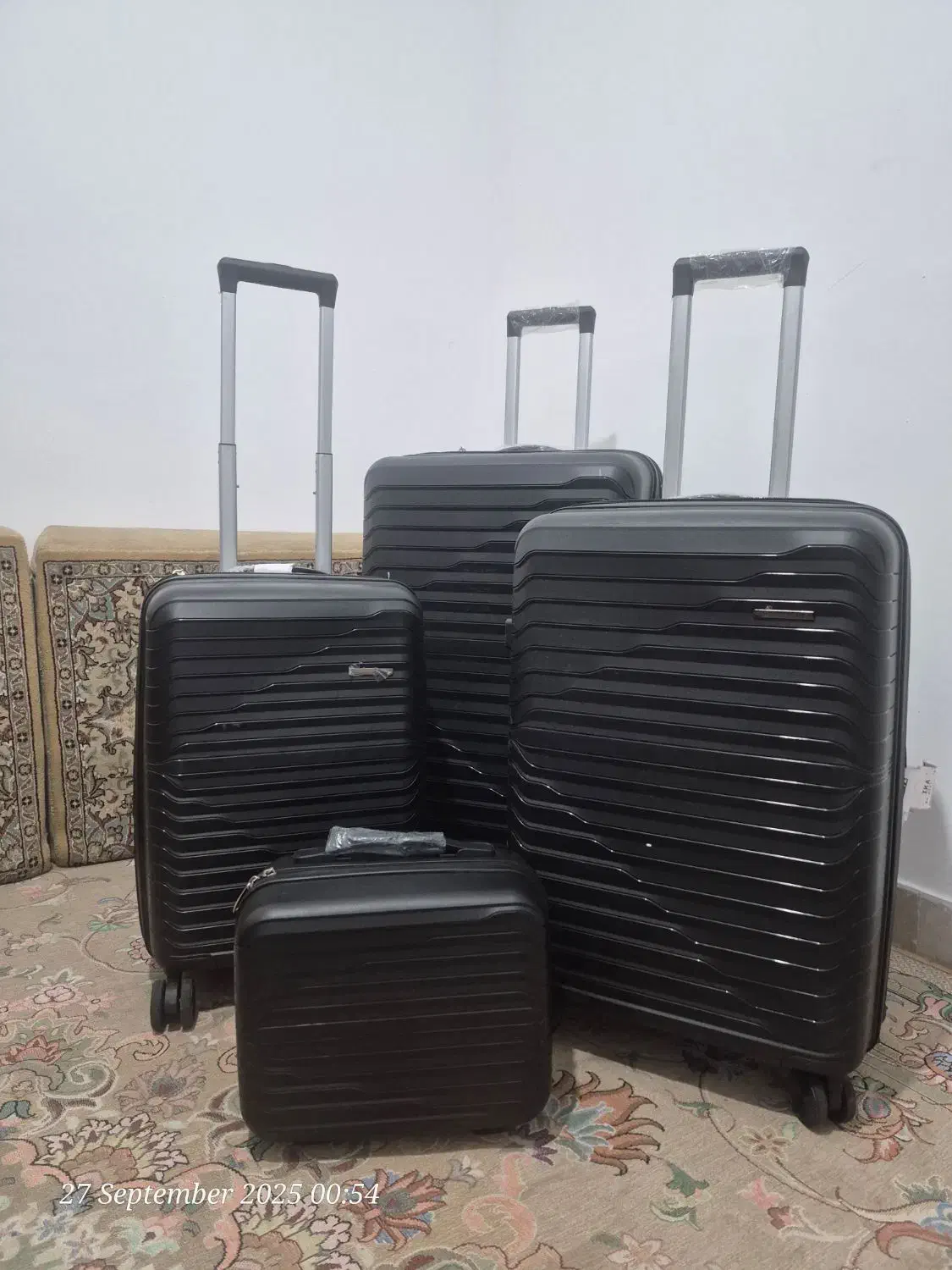 چمدان وارداتی|کیف، کفش، کمربند|پرند, فاز ۵|دیوار