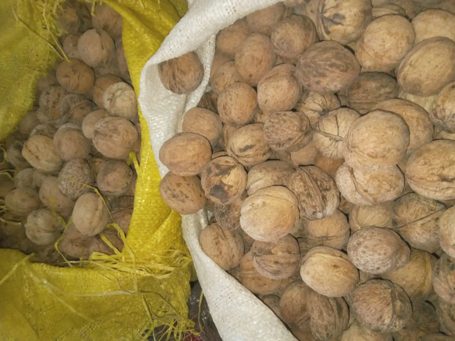 گردو|خوردنی و آشامیدنی|بروجرد, |دیوار
