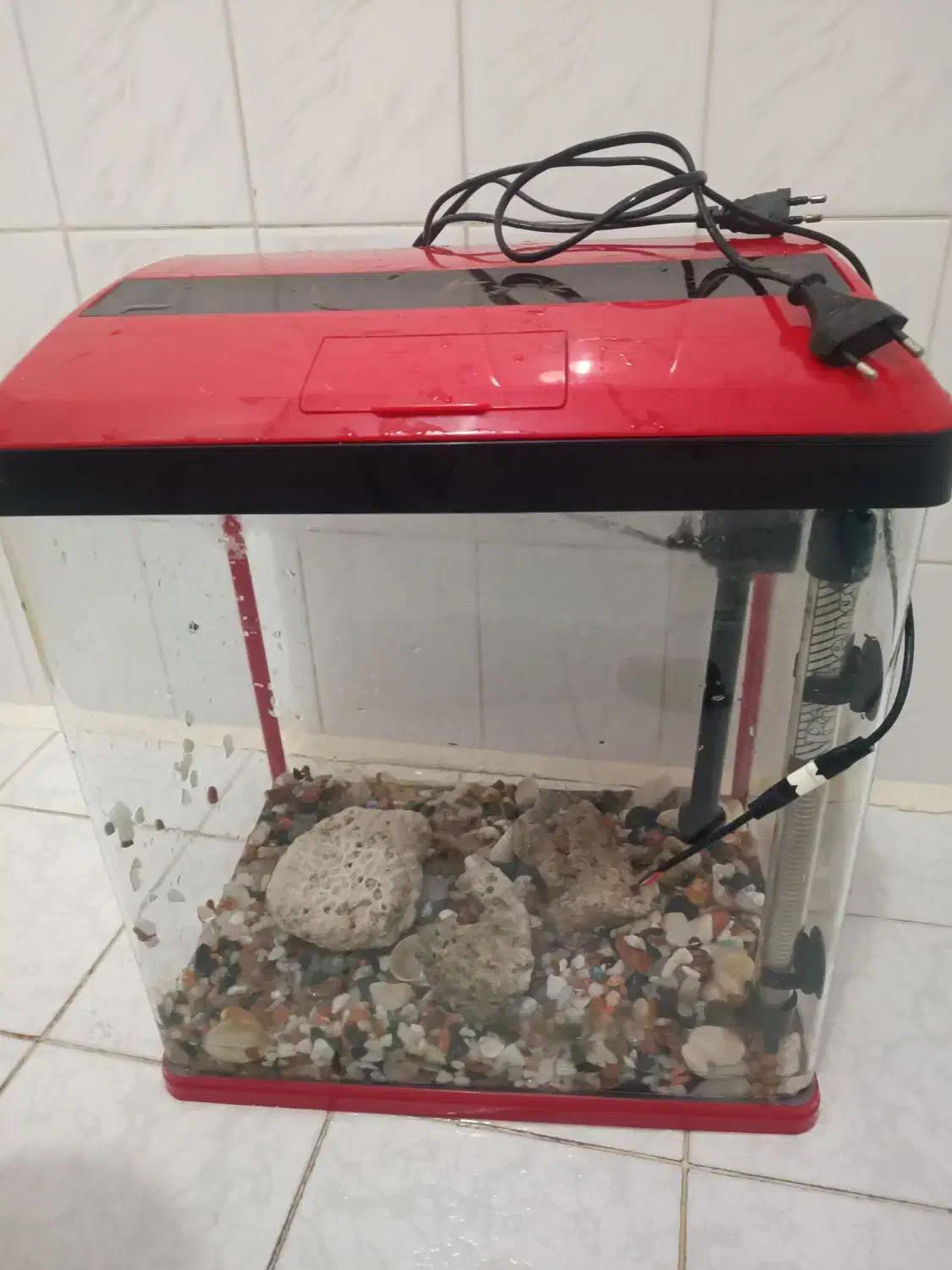 آکواریوم درحد|ماهی|اردبیل, |دیوار