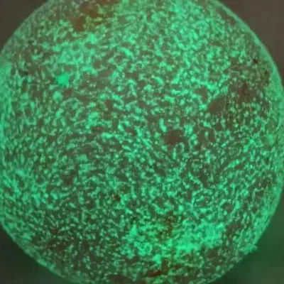 ح و ا ل ه سینم|فعالیت داوطلبانه تحقیقاتی|ایلام, |دیوار