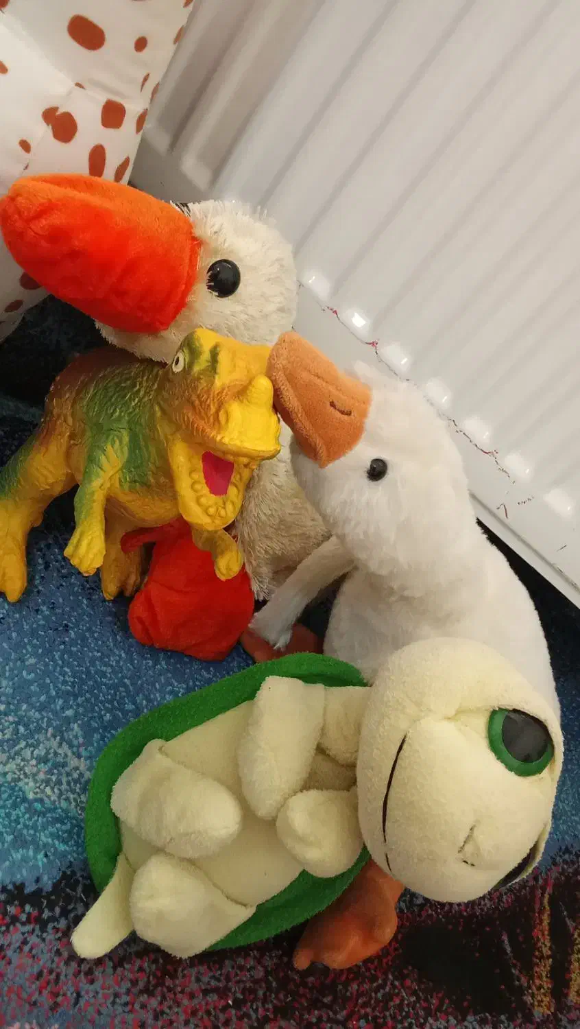 عروسک|اسباب‌بازی بچه|هشتگرد, شهرک ریحانه|دیوار