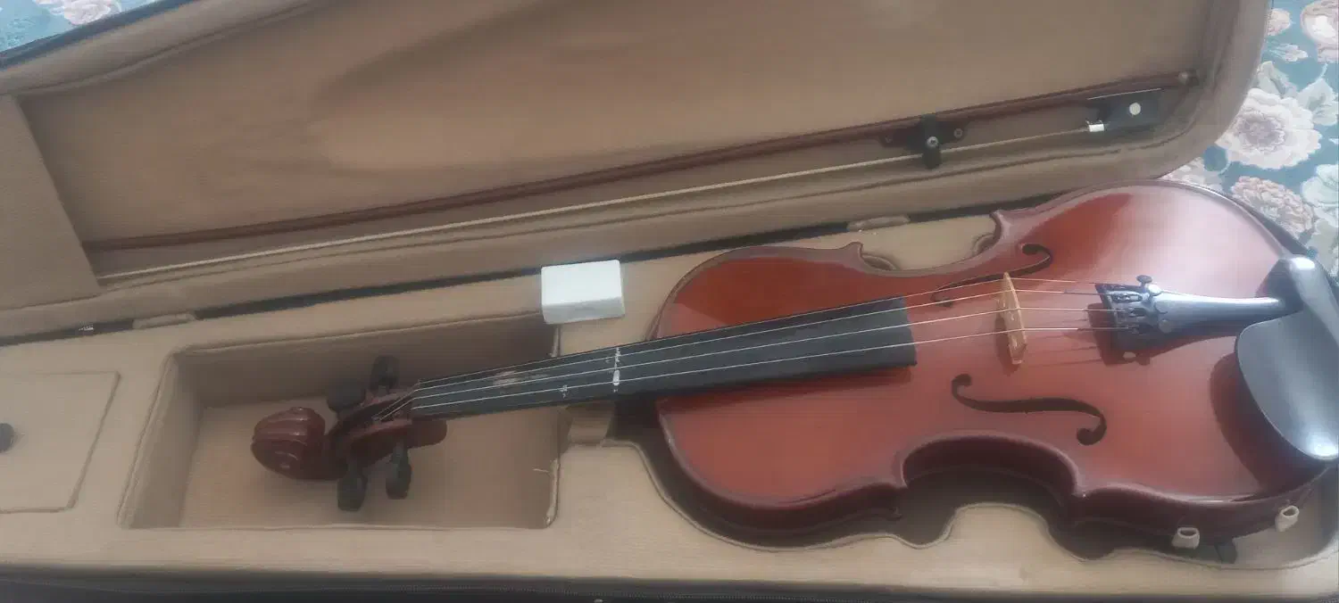 ویولون هافنر|ویولن|کاشمر, |دیوار