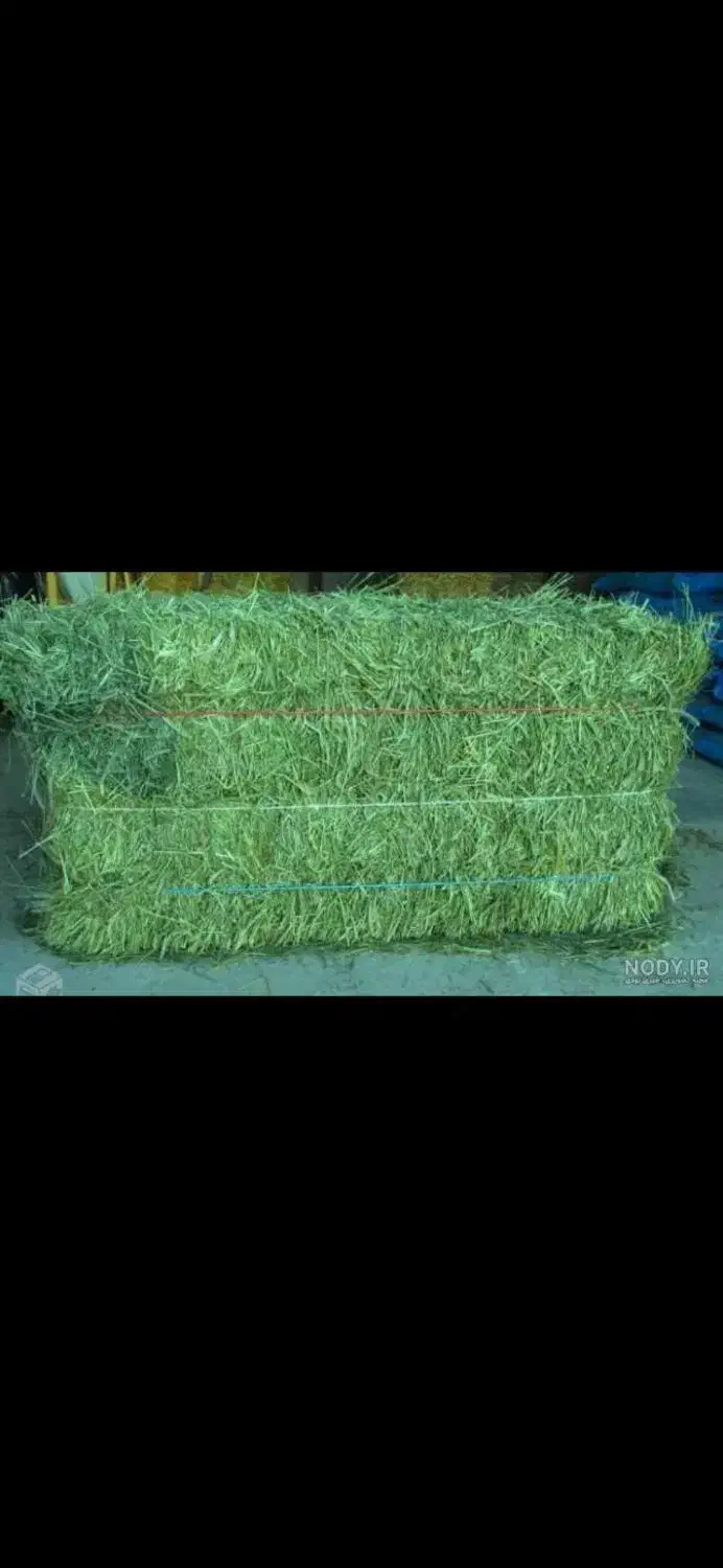 یونجه|لوازم جانبی حیوانات|بیلوار, |دیوار